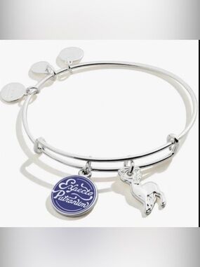 NWOT Harry Potter Alex and Ani Bracelet Expecto Patronum Spell Charm
